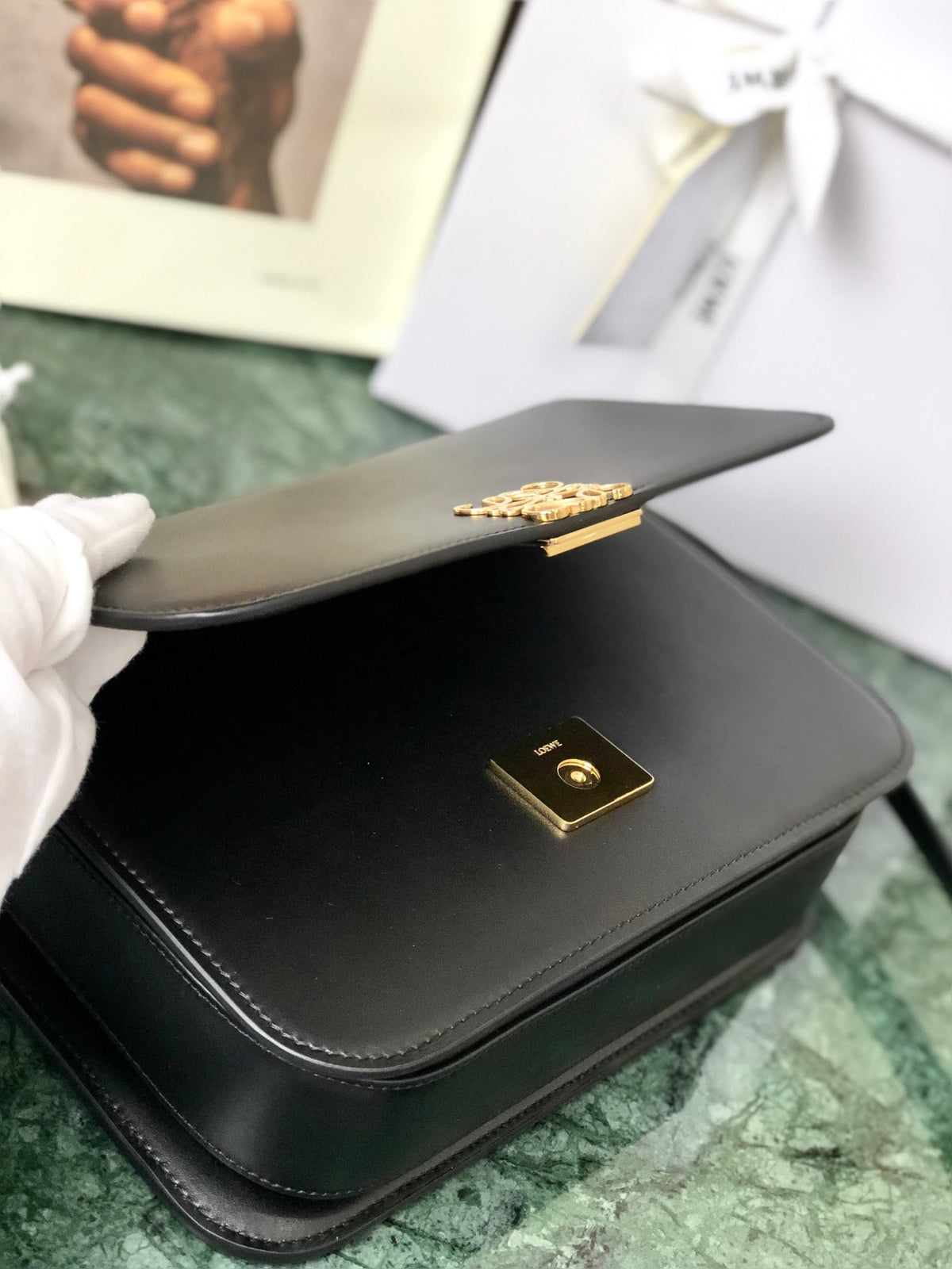 Loewe Goya Bag 18 in Black Silk Calfskin