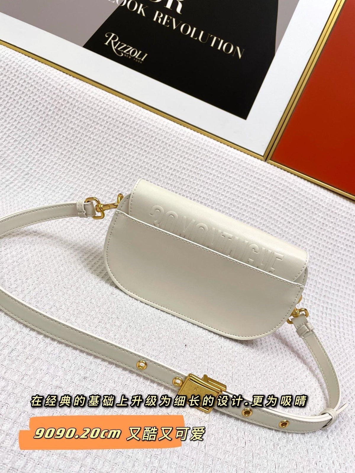 Dior Mini Bobby East-West 20 Bag in White Calfskin