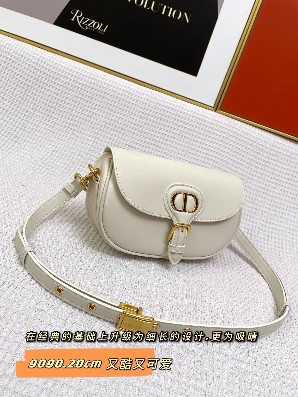 Dior Mini Bobby East-West 20 Bag in White Calfskin