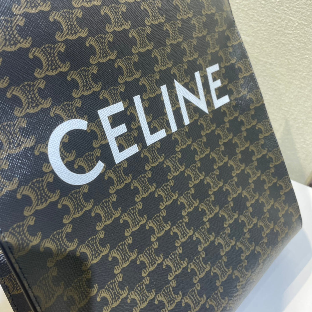Celine Triomphe 32 Blue in Pattern Calfskin Bag