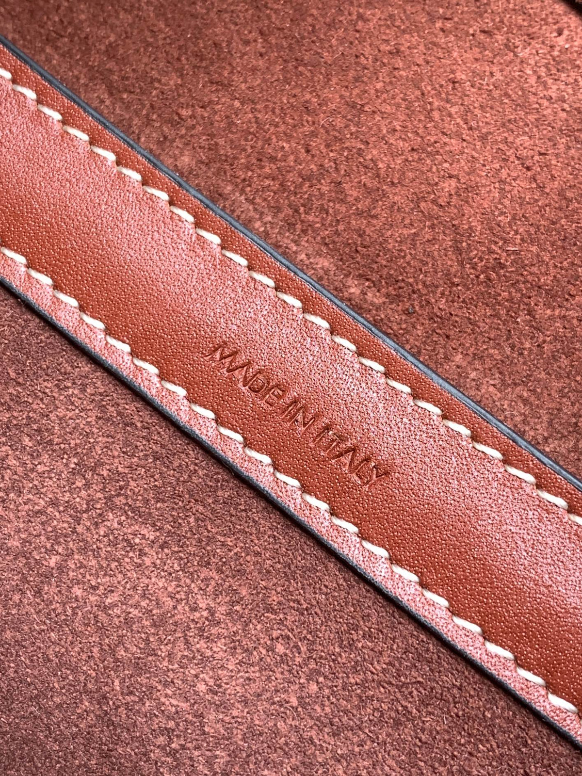 Celine Triomphe Classic 25 Cinnamon Brown Calfskin Bag