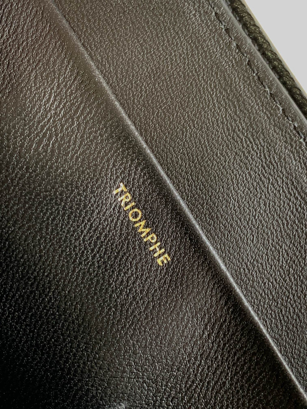 Celine Triomphe Frame 23 Black Calfskin Bag