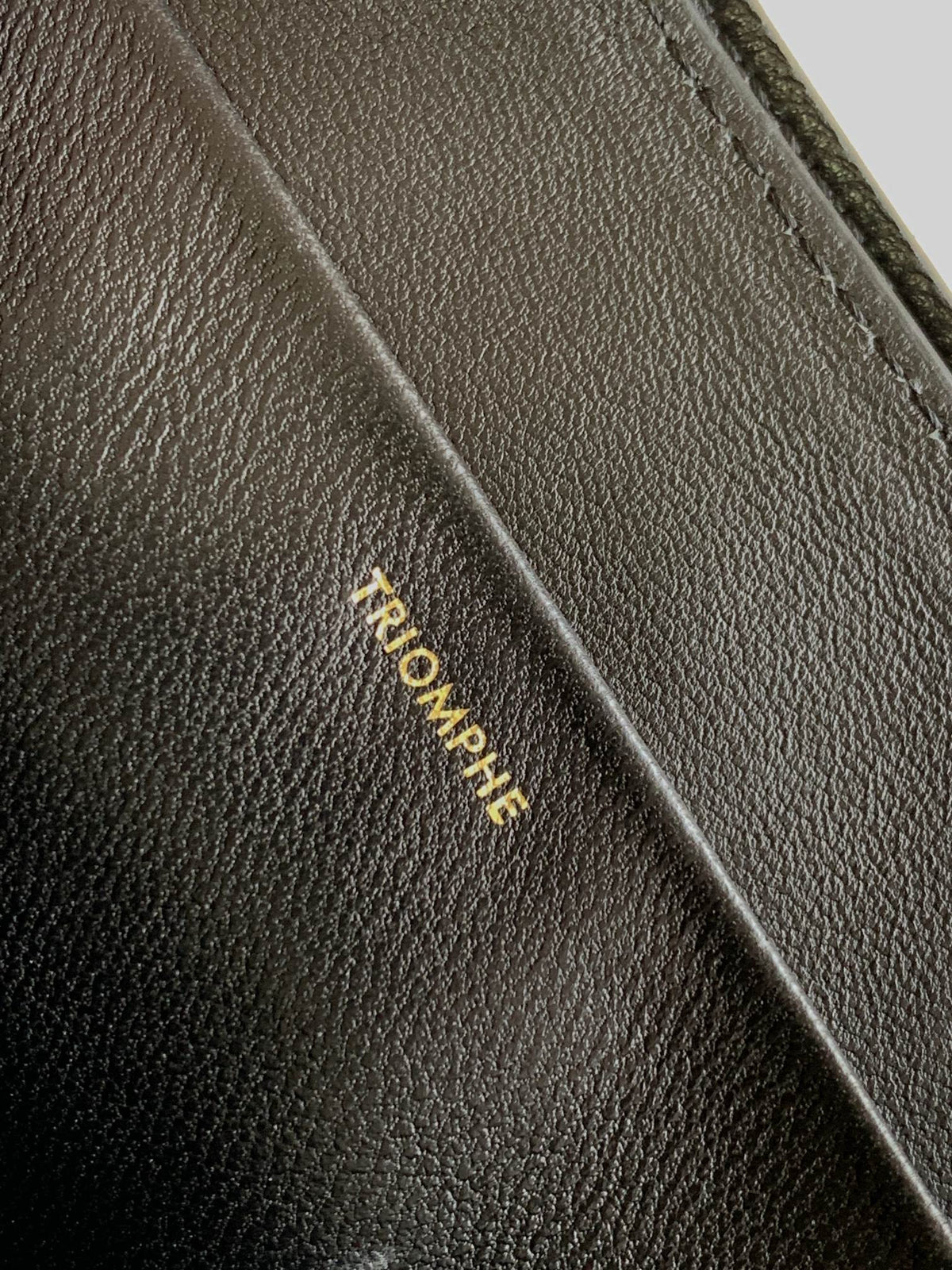 Celine Triomphe Frame 23 Black Calfskin Bag