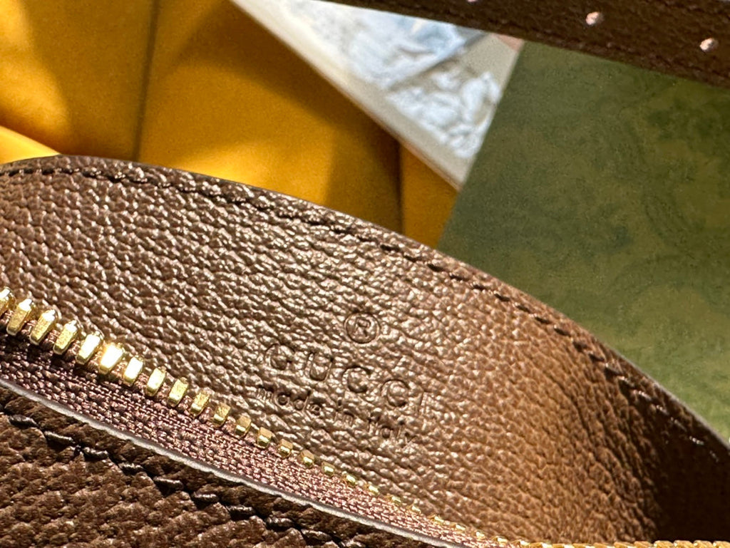 Gucci Ophidia Small 25 Handbag Beige and Ebony Pvc Fabric