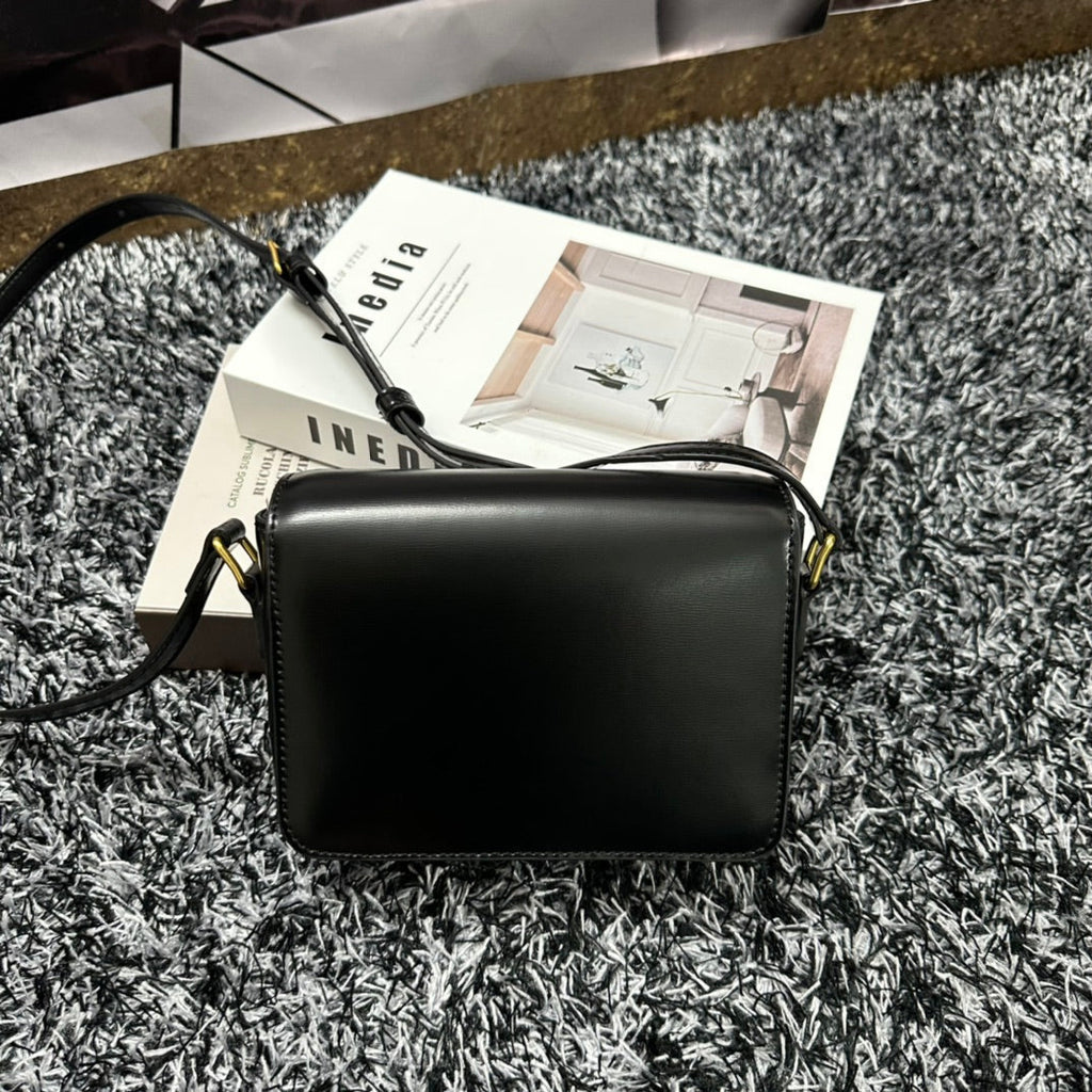 Celine Triomphe Teen 18 Black Cowhide Leather Bag