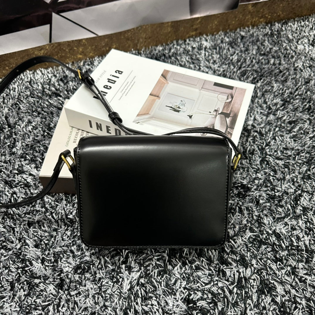 Celine Triomphe Teen 18 Black Cowhide Leather Bag