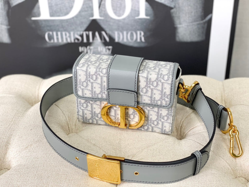 Dior Montaigne 19 Handbag in Grey Calfskin