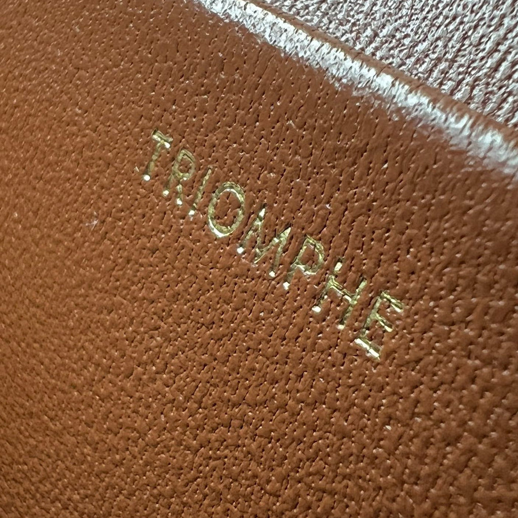 Celine Triomphe 20 White Pattern Calfskin Bag