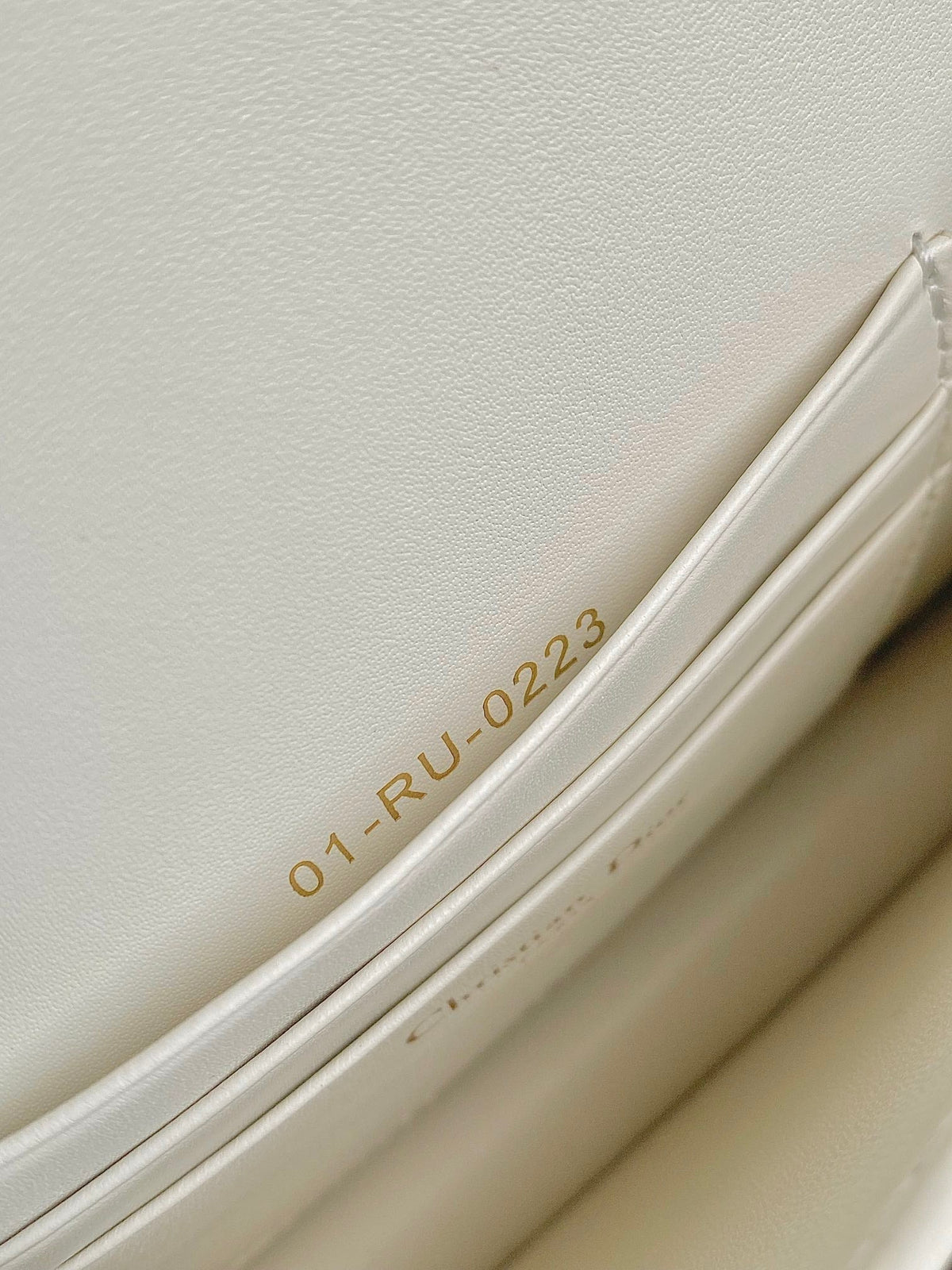 Dior Mini Chain Bag 17 in White Calfskin