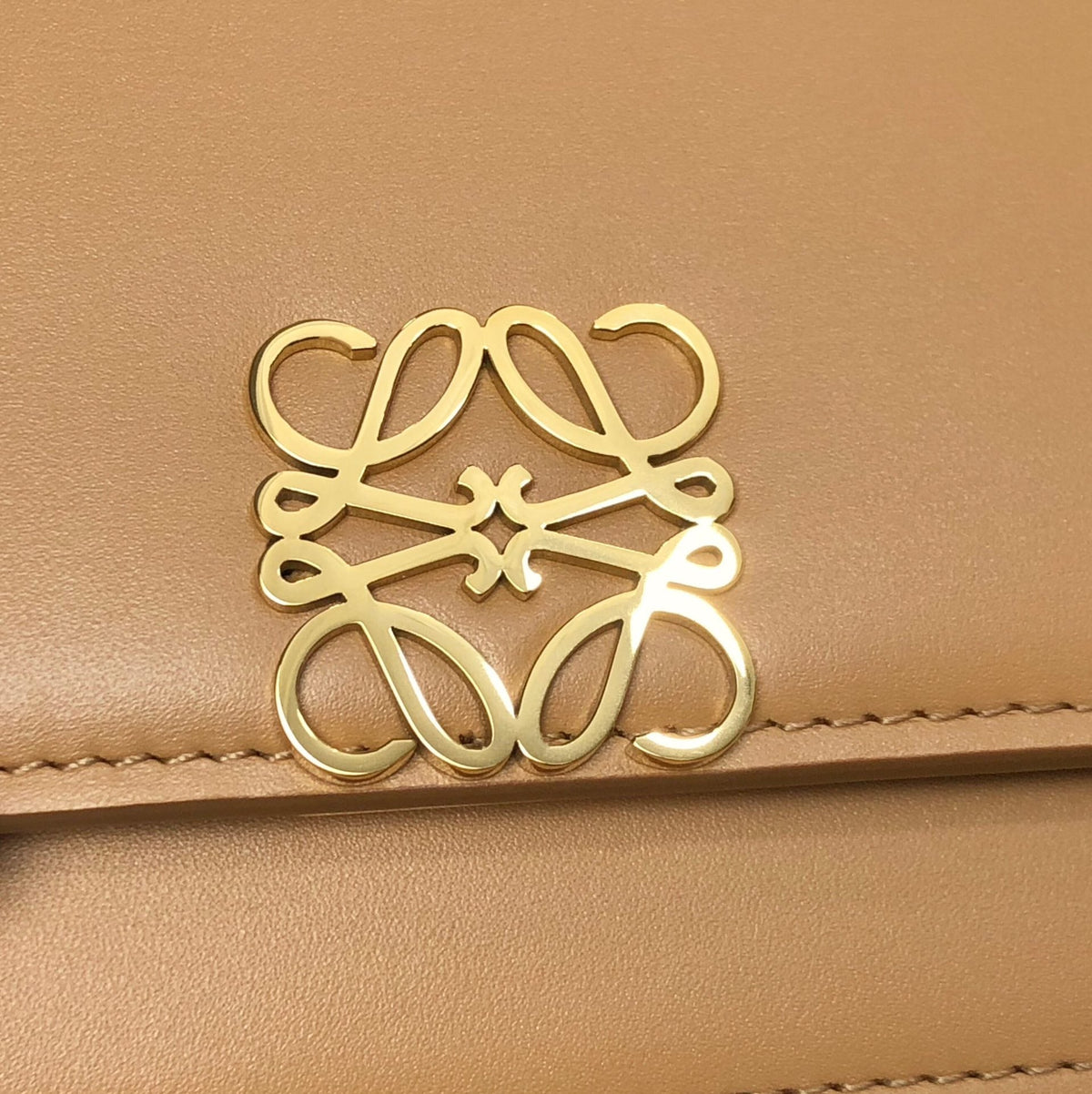 Loewe Goya Bag 23 in Copper Brown Calfskin