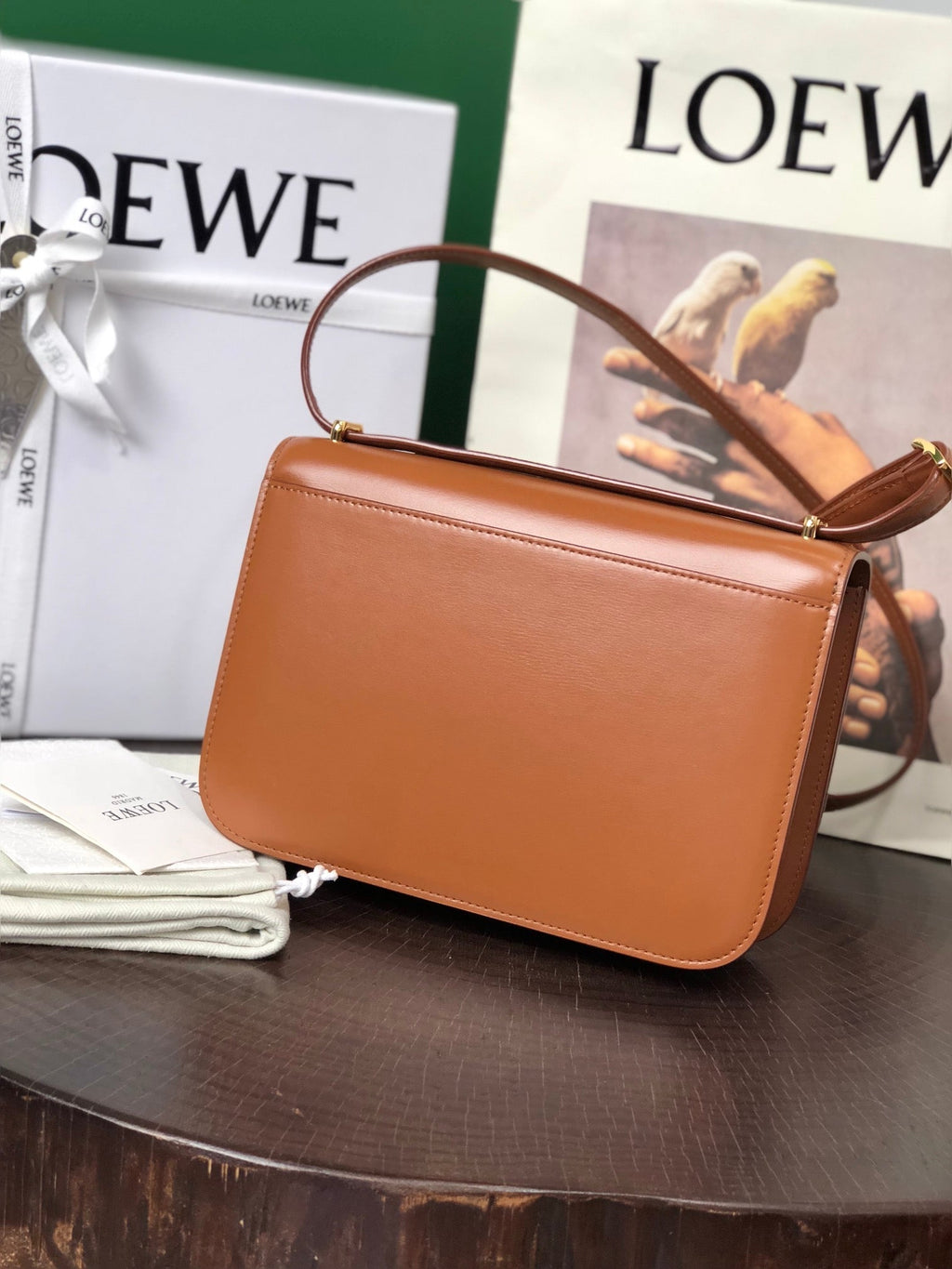 Loewe Goya Bag 23 in Warm Desert Silk Calfskin