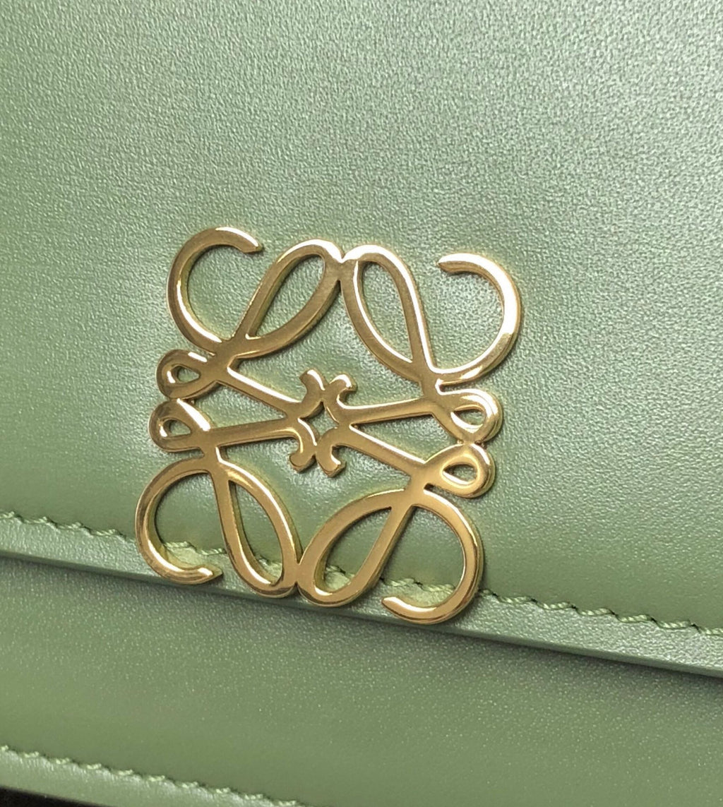 Loewe Goya Bag 23 in Avocado Green Silk Calfskin