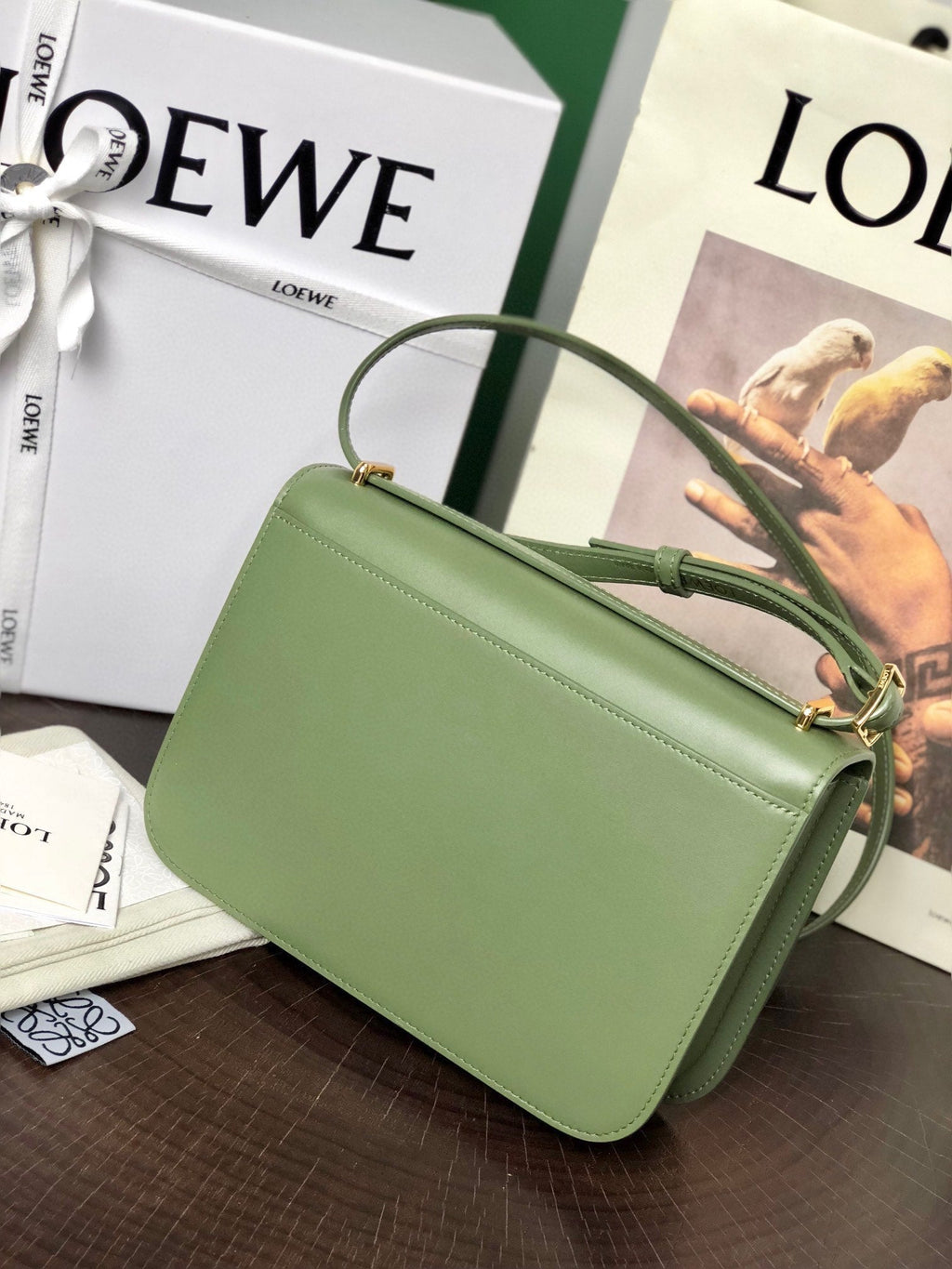 Loewe Goya Bag 23 in Avocado Green Silk Calfskin