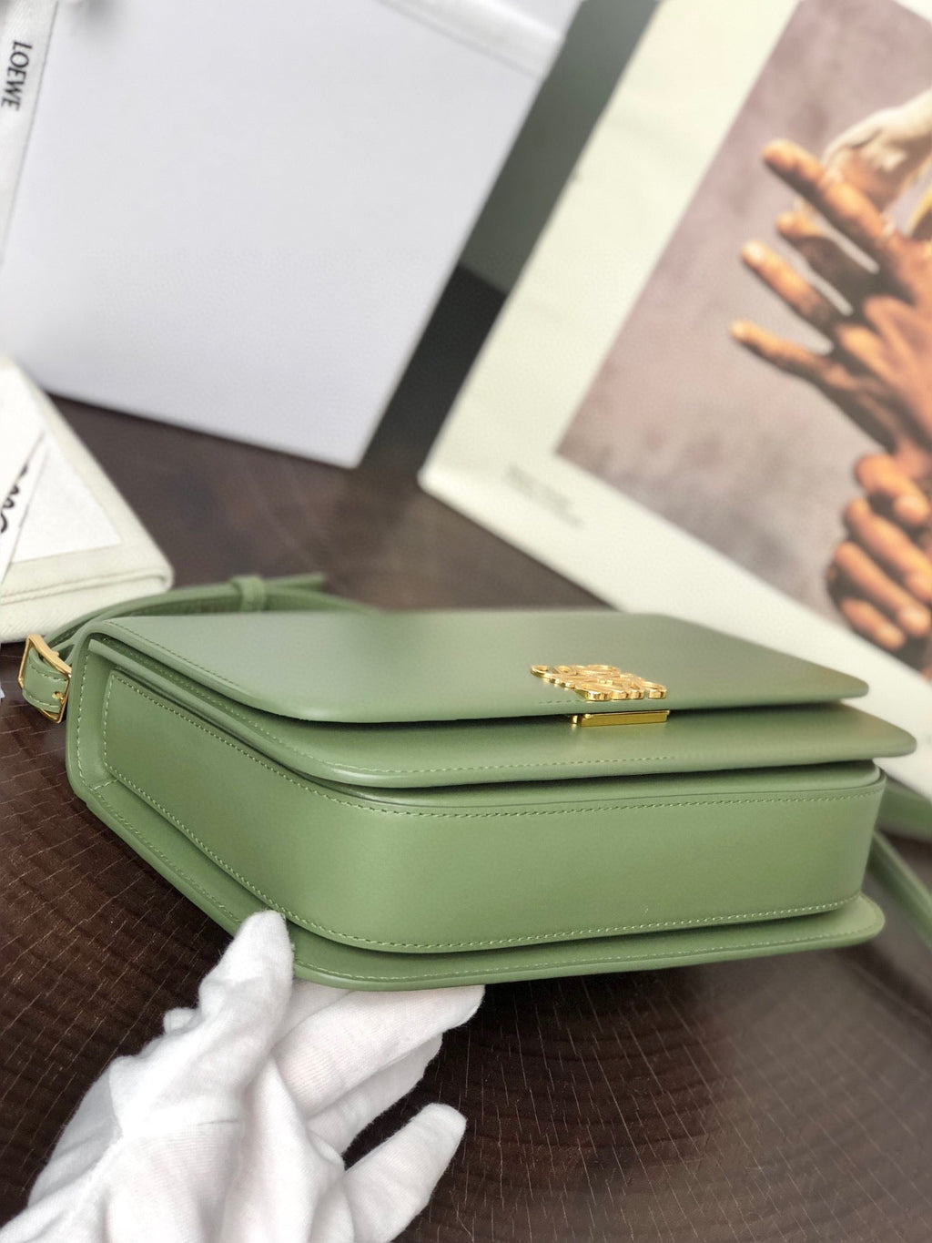 Loewe Goya Bag 23 in Avocado Green Silk Calfskin