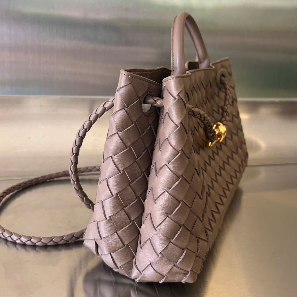 Bottega Veneta Small Andiamo 29 in Beaver Brown Lambskin Bag