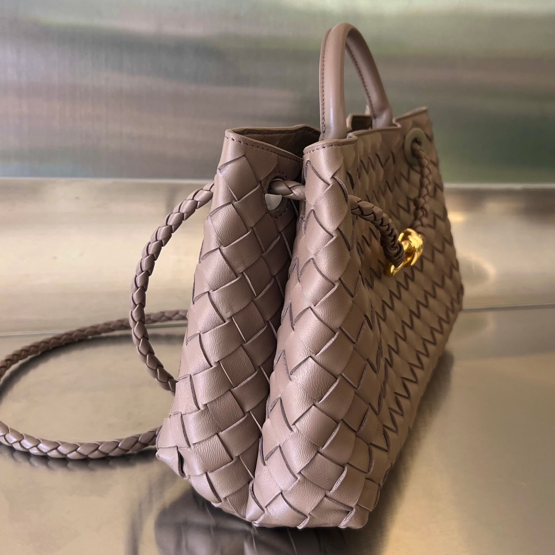 Bottega Veneta Small Andiamo 29 in Beaver Brown Lambskin Bag