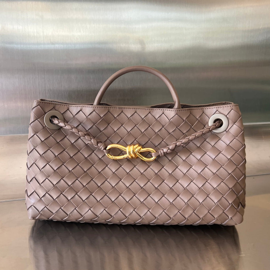 Bottega Veneta Small Andiamo 29 in Beaver Brown Lambskin Bag