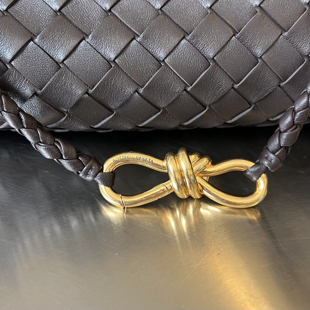 Bottega Veneta Small Andiamo 29 in Dark Brown Lambskin Bag