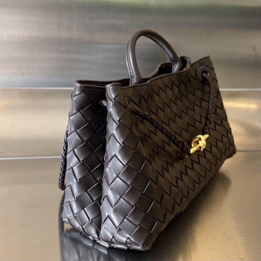 Bottega Veneta Small Andiamo 29 in Dark Brown Lambskin Bag