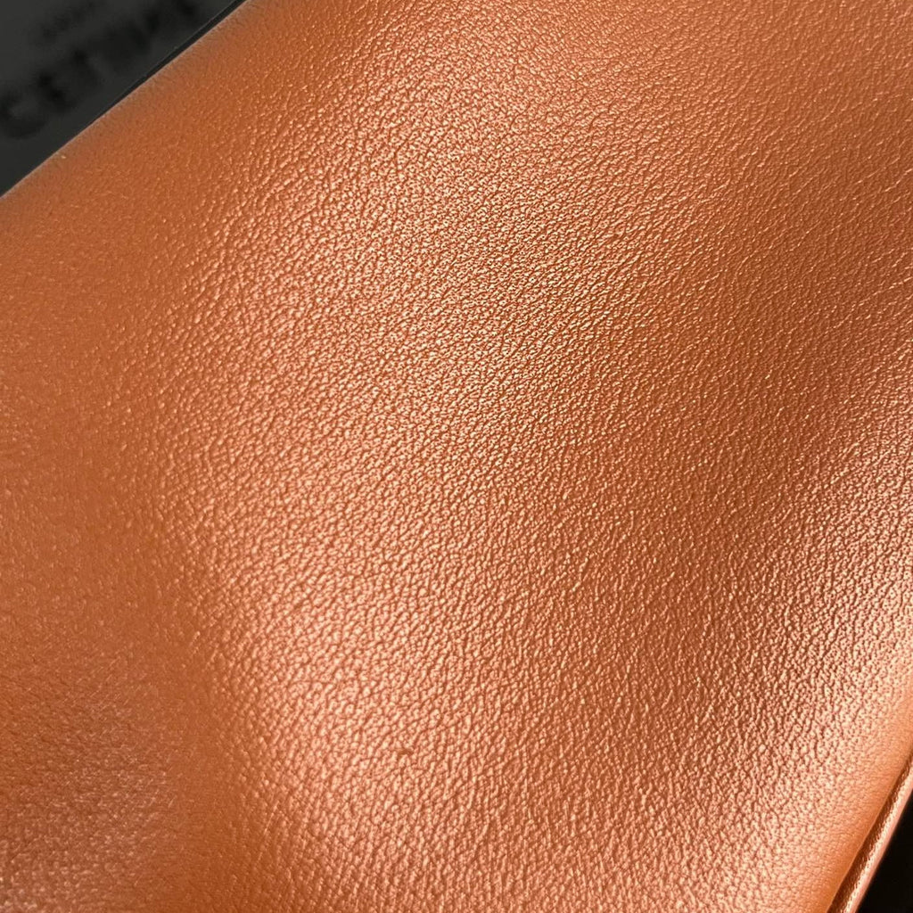 Celine Mini Soft 19 Calfskin Handbag Tan