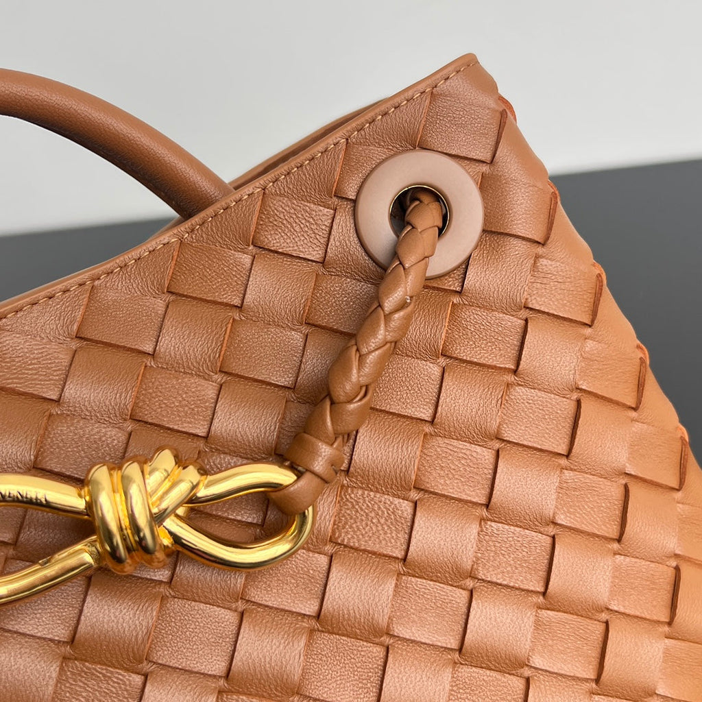 Bottega Veneta Medium Andiamo 25 in Burnt Orange Lambskin Bag