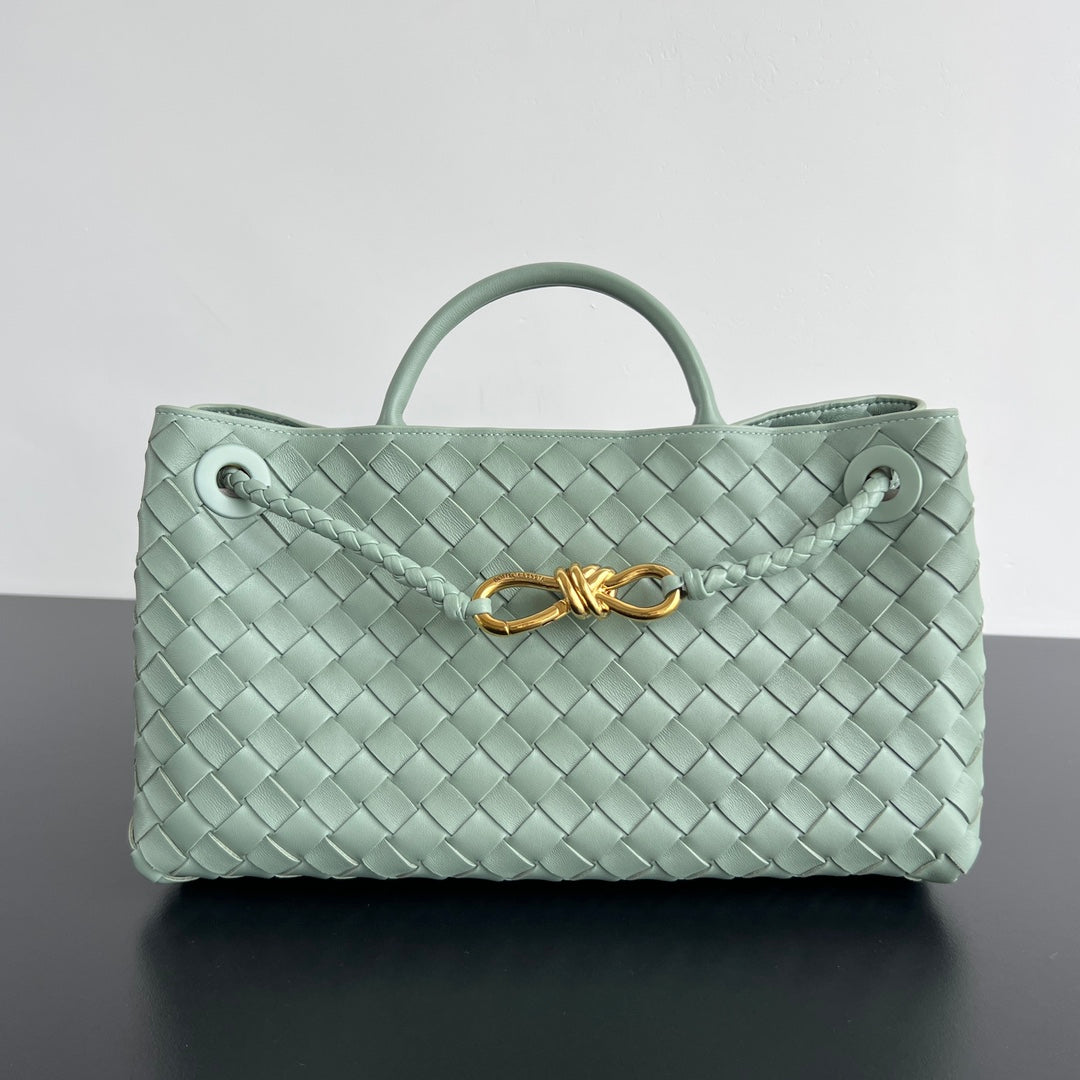 Bottega Veneta Small Andiamo 29 in Cedalon Green Lambskin Bag