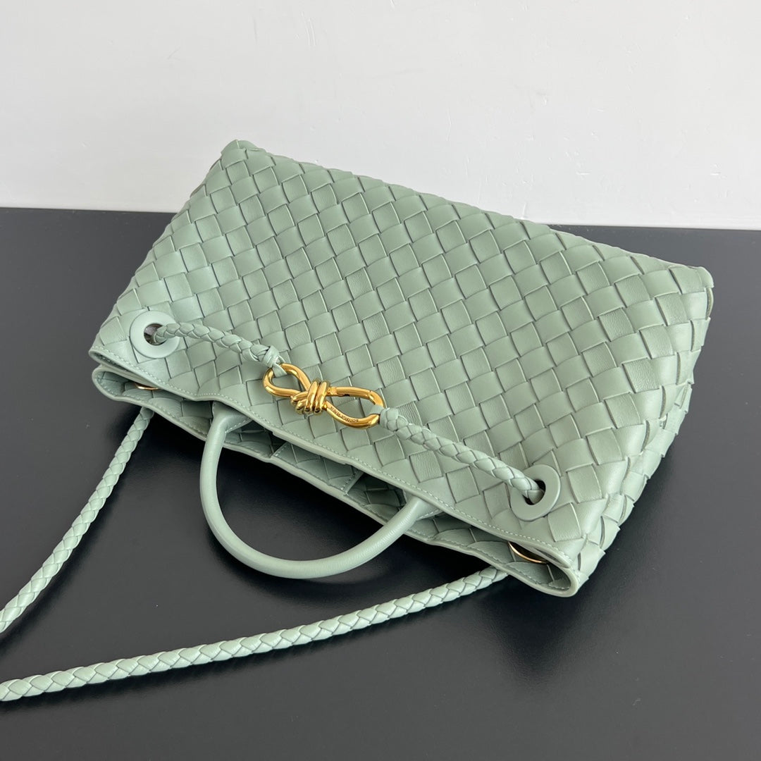 Bottega Veneta Small Andiamo 29 in Cedalon Green Lambskin Bag