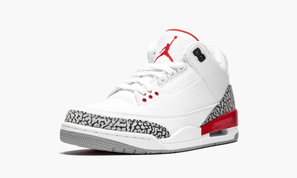 Air Jordan 3 Retro "Katrina / Hall Of Fame" Sneakers