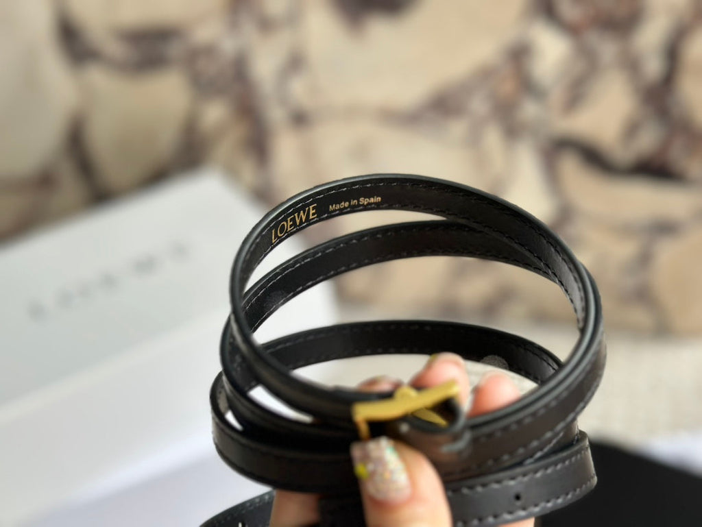 Loewe Goya Bag 23 in Black Silk Calfskin