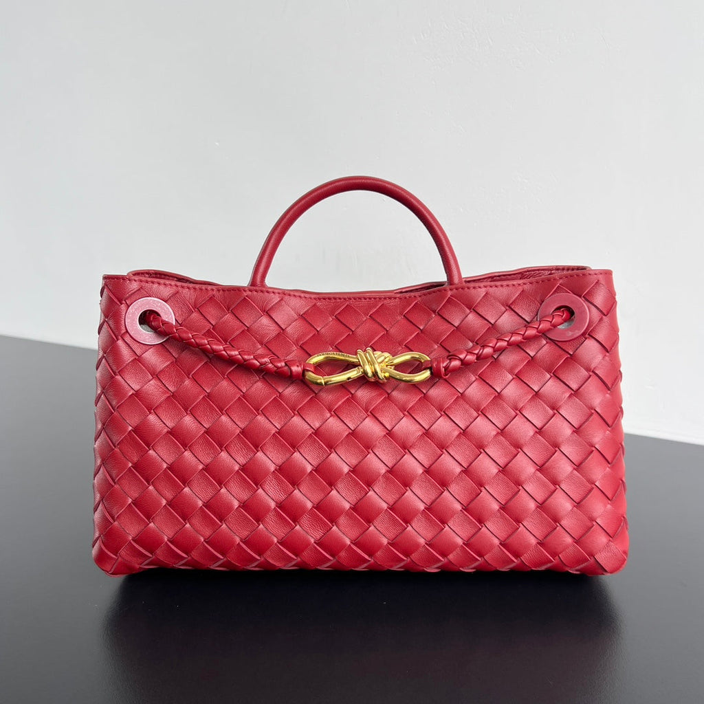 Bottega Veneta Small Andiamo 29 in Red Lambskin Bag