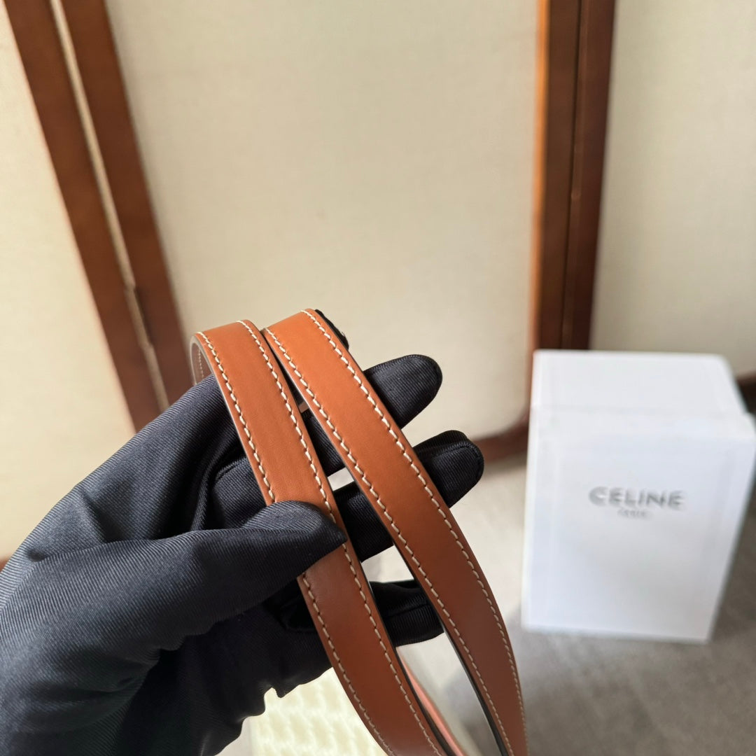 Celine Triomphe Canvas 31.5 in Printed Calfskin Brown White Bag