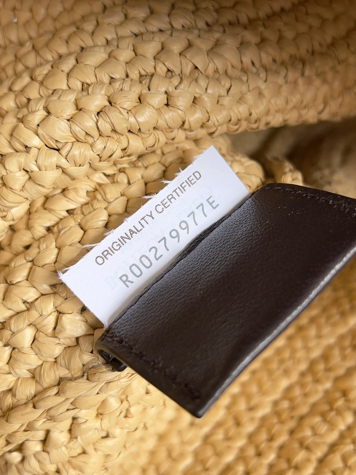 Bottega Veneta Sardine Chain 33 in Natural Raffia Bag